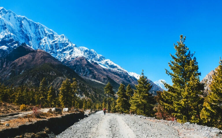 classic-annapurna-circuit-trail-768x480.webp