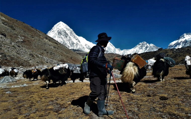 khumbu-trek-768x480.webp