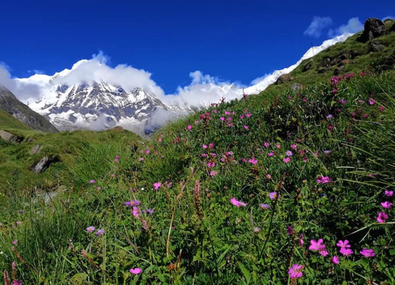 trek-to-annapurna-base-camp-nepal-768x576.avif
