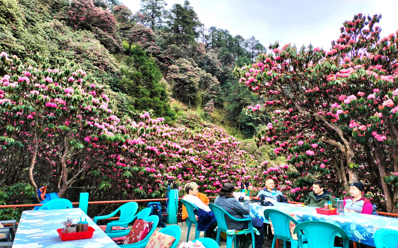 Deaurali on way to Low camp