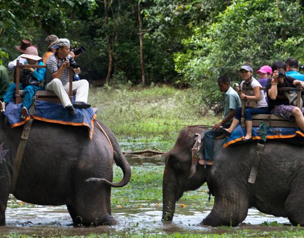 Kathmandu Chitwan Tour