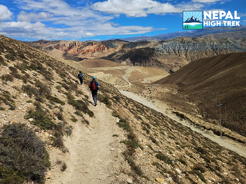 Mustang Trek in 2026