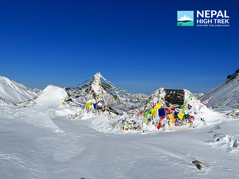 Annapurna Trek in 2026